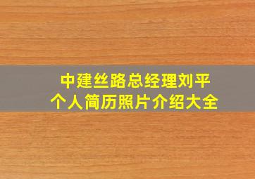 中建丝路总经理刘平个人简历照片介绍大全