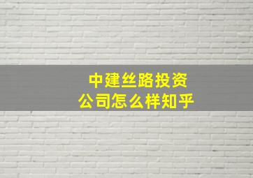 中建丝路投资公司怎么样知乎