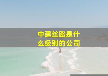 中建丝路是什么级别的公司