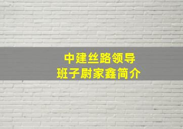 中建丝路领导班子尉家鑫简介