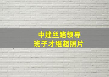 中建丝路领导班子才继超照片