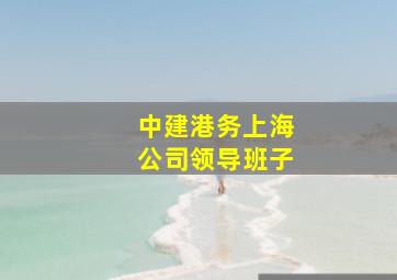 中建港务上海公司领导班子