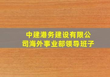 中建港务建设有限公司海外事业部领导班子