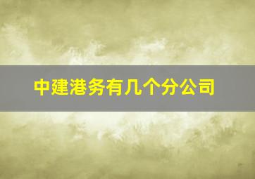 中建港务有几个分公司