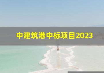 中建筑港中标项目2023