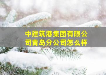 中建筑港集团有限公司青岛分公司怎么样