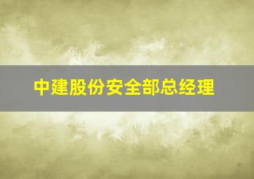 中建股份安全部总经理