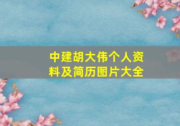 中建胡大伟个人资料及简历图片大全