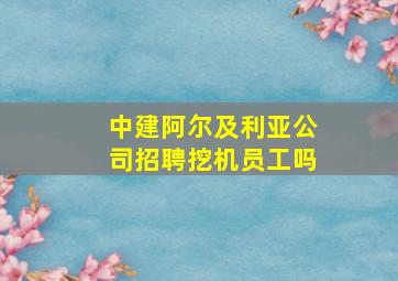 中建阿尔及利亚公司招聘挖机员工吗