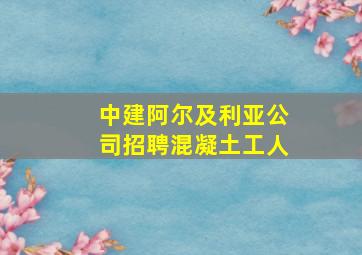 中建阿尔及利亚公司招聘混凝土工人