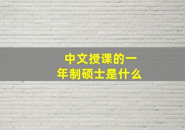 中文授课的一年制硕士是什么