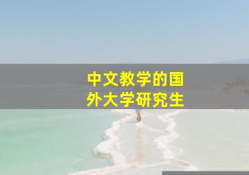 中文教学的国外大学研究生