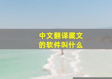 中文翻译藏文的软件叫什么