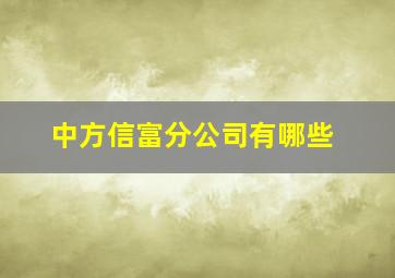 中方信富分公司有哪些