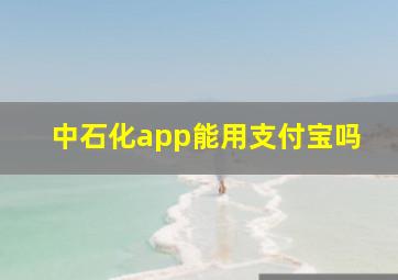 中石化app能用支付宝吗