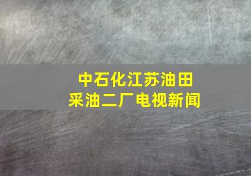 中石化江苏油田采油二厂电视新闻