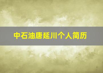 中石油唐延川个人简历