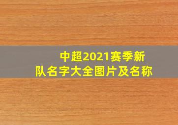 中超2021赛季新队名字大全图片及名称