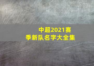 中超2021赛季新队名字大全集