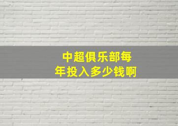 中超俱乐部每年投入多少钱啊