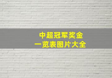 中超冠军奖金一览表图片大全