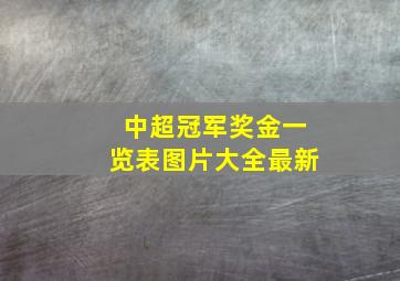 中超冠军奖金一览表图片大全最新