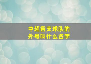 中超各支球队的外号叫什么名字