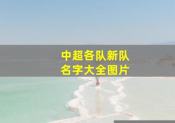 中超各队新队名字大全图片