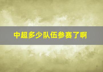 中超多少队伍参赛了啊