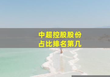 中超控股股份占比排名第几