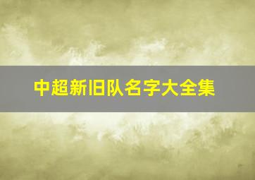 中超新旧队名字大全集