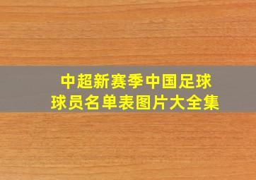 中超新赛季中国足球球员名单表图片大全集