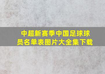 中超新赛季中国足球球员名单表图片大全集下载