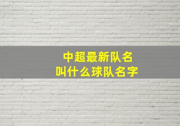 中超最新队名叫什么球队名字