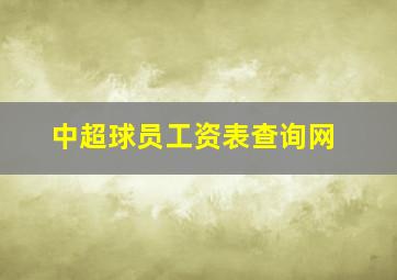 中超球员工资表查询网