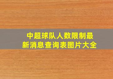 中超球队人数限制最新消息查询表图片大全