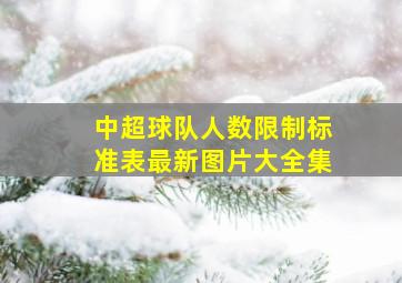 中超球队人数限制标准表最新图片大全集