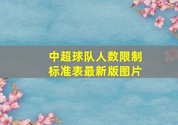 中超球队人数限制标准表最新版图片