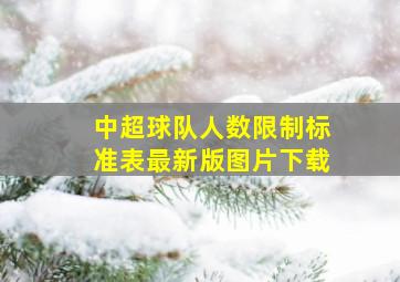 中超球队人数限制标准表最新版图片下载