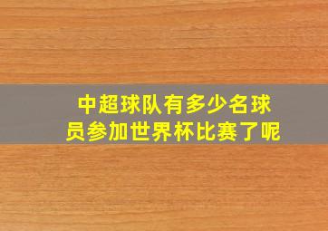 中超球队有多少名球员参加世界杯比赛了呢