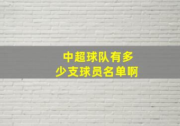 中超球队有多少支球员名单啊