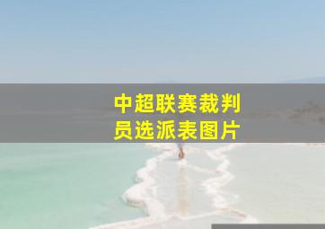 中超联赛裁判员选派表图片