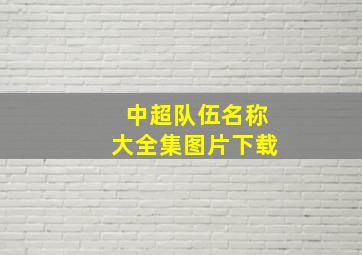 中超队伍名称大全集图片下载