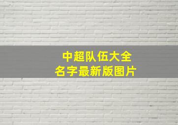 中超队伍大全名字最新版图片