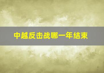 中越反击战哪一年结束