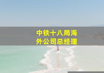 中铁十八局海外公司总经理