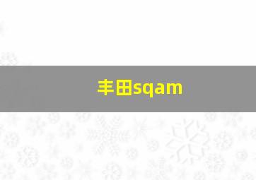 丰田sqam