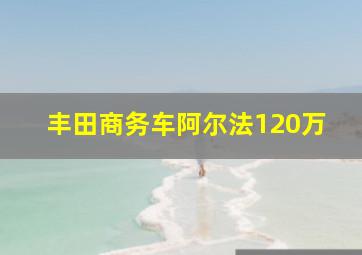 丰田商务车阿尔法120万