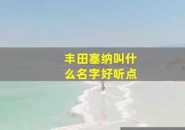 丰田塞纳叫什么名字好听点