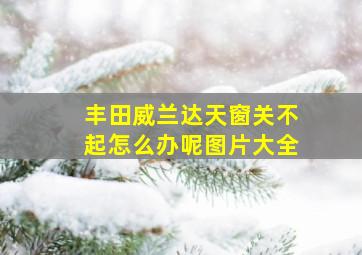 丰田威兰达天窗关不起怎么办呢图片大全